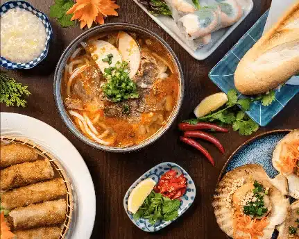 1025832b9e9fd9001a75d3d3c97d1a8f7242d14431x3441 VIET JAPAN PARTNER GROUP